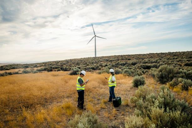 Africa's Green Economy